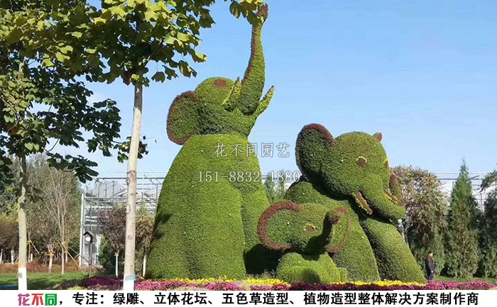 植物綠雕動物造型-大象實拍圖