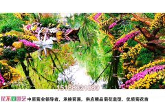 低成本菊花花海種植技術-降本增效方案與實施標